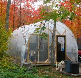 Live In A Greenhouse