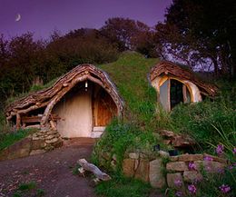 A Low Impact Woodland Home